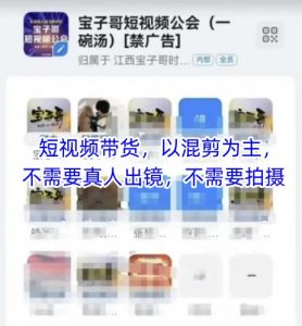宝子哥头部团队短视频带货，以混剪为主，不需要真人出镜，不需要拍摄-虚拟资源库