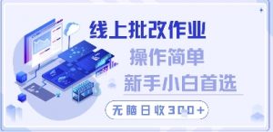 线上批改作业,操作简单新手小白首选,无脑日收300+【揭秘】-虚拟资源库