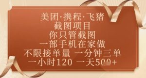 飞猪美团截图项目，你只管截图，一部手机在家做，正规平台无套路，一天5张+【揭秘】-虚拟资源库