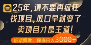 什么?25年你还在疯狂找项目做,醒醒吧,看完这些你全都懂了【揭秘】-虚拟资源库