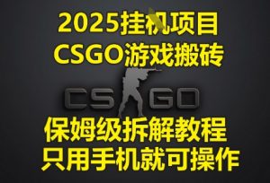 2025挂G项目,CSGO游戏搬砖,保姆级拆解教程,只用手机就可操作【揭秘】-虚拟资源库