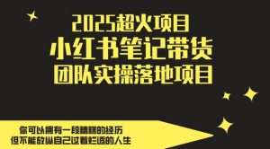 2025超火项目,副业最佳选择,小红书笔记带货团队实操落地项目,,轻松日入5张-虚拟资源库