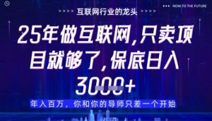 什么!25年你还在找项目做?风口早就变了,卖项目才是稳挣不赔【揭秘】-虚拟资源库