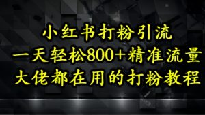 小红书打粉引流,一天轻松500+精准流量,大佬都在用的打粉教程-虚拟资源库