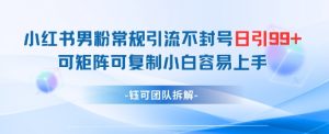 小红书男粉常规引流不封号日引99+变现简单 可矩阵可复制小白容易上手-虚拟资源库