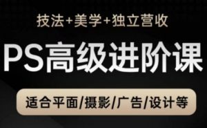 PS高级后期进阶课(技法+美学+独立营收),适合平面摄影广告设计等-虚拟资源库