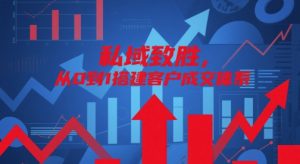 私域致胜,从0到1搭建客户成交体系-虚拟资源库