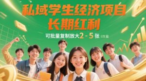 私域学生经济项目,长期红利,可批量复制放大,日收益2-5张-虚拟资源库