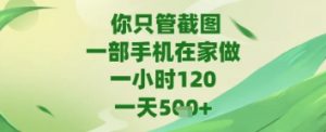 你只管截图，一部手机在家做，苹果安卓都可以，一天5张+【揭秘】-虚拟资源库