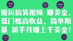 搬运搞笑视频挣美金，低门槛高收益，简单粗暴新手月入上千美刀-虚拟资源库