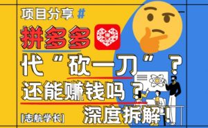 【2025最新】拼多多代坎助力项目深度拆解:还能挣钱吗?全流程玩法-虚拟资源库