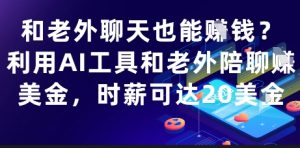 和老外聊天也能挣钱？利用AI工具和老外陪聊挣美金，时薪可达20刀-虚拟资源库