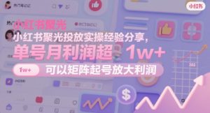 小红书聚光投放实操经验分享,单号月利润超1w+,可以矩阵起号放大利润-虚拟资源库
