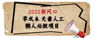 2025新风口，懒人必做项目，浏览器全自动掘金【揭秘】-虚拟资源库