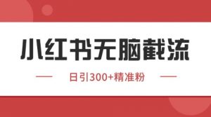 小红书只要你有同行就能获客,独家野路子获客玩法,暴力截流【揭秘】-虚拟资源库