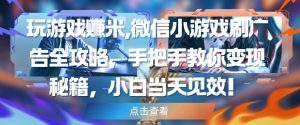 玩游戏挣米，微信小游戏刷广告全攻略，手把手教你变现秘籍，小白当天见效-虚拟资源库