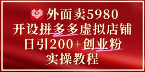 外面卖5980开设拼多多虚拟店铺:单日引流200+创业付费粉实战教程-虚拟资源库