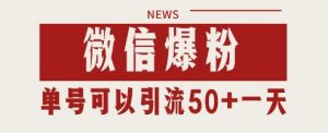 微信爆粉,私域暴力引流打法日引千粉 单号日进50+【揭秘】-虚拟资源库