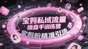 宝妈私域流量操盘手训练营,宝妈粉精准引流-虚拟资源库