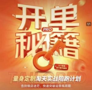 淘宝开单秘籍PRO,量身定制淘天实战陪跑计划,告别做店迷茫、快速突破运营瓶颈期(更新)-虚拟资源库