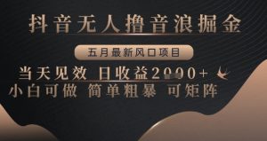 抖音无人撸音浪掘金,五月最新风口项目,当天见效,日收益多张,小白可做简单粗暴可矩阵【揭秘】-虚拟资源库