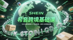 希音跨境基础课，SHEIN希音卖家入门实操指南，新手入坑希音必看-虚拟资源库