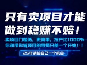 只有卖项目才能做到稳挣不赔,门槛低,更简单,你也可以年入百个W【揭秘】-虚拟资源库
