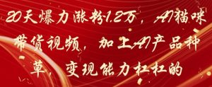 20天爆力涨粉1.2W，AI猫咪带货视频，加上AI产品种草，变现能力杠杠的-虚拟资源库