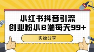 小红书抖音创业粉,小B端粉自热,日引99+的一个玩法【揭秘】-虚拟资源库