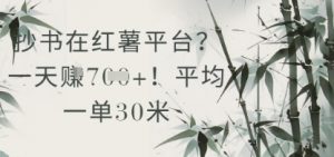 抄书在小红薯平台?平均一单30米,一天收益几张!-虚拟资源库