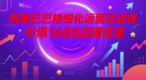 阿里巴巴精细化运营实战课,引爆1688店铺流量-虚拟资源库