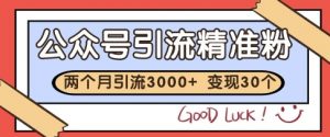公众号精准粉引流玩法,2个月3000+精准粉,变现30个W【揭秘】-虚拟资源库