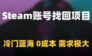Steam账号找回项目,冷门蓝海,0成本,需求极大-虚拟资源库