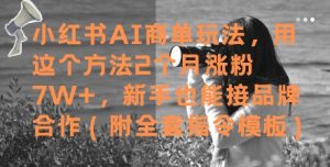 小红书AI商单玩法,用这个方法2个月涨粉7W+,新手也能接品牌合作(附全套指令模板)-虚拟资源库