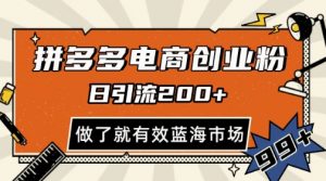 拼多多引流电商创业粉,日引200+,可矩阵放大,做了就有效【揭秘】-虚拟资源库