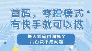 首码,零撸模式,有快手就可以做,每天零碎时间搞个几张不成问题【揭秘】-虚拟资源库