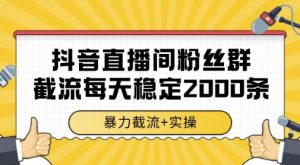 抖音直播间粉丝群暴力截流,一台电脑每天稳定2000条数据,暴力截流+实操 【揭秘】-虚拟资源库