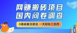 网创搬砖项目,国内问卷调查,小白轻松上手,一天三四张的也不难,干就完了【揭秘】-虚拟资源库