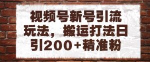 视频号新号引流玩法,搬运打法日引200+精准粉,可矩阵放大【揭秘】-虚拟资源库