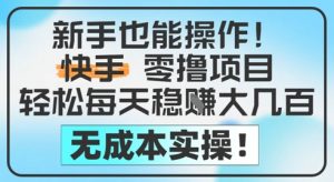 新手也能操作，快手零撸挣米，轻松每天挣2-5张，完全无成本-虚拟资源库