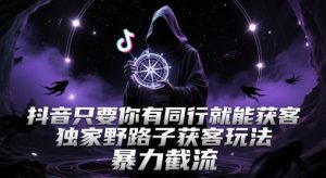抖音只要你有同行就能获客,独家野路子获客玩法,暴力截流【揭秘】-虚拟资源库