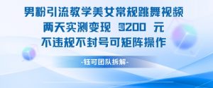 男粉引流教学美女常规跳舞视频两天实测变现1k+,不违规不封号可矩阵操作-虚拟资源库