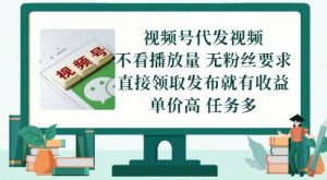 视频号代发视频,无需做视频,无需写文案,不看播放量,无粉丝要求,直接领取发布就有收益【揭秘】-虚拟资源库