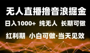 无人直播撸音浪掘金,日入1k+,纯无人红利期,小白可做,当天见效【揭秘】-虚拟资源库