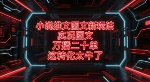 小说推文图文新玩法,实况图文,万播二十单,这转化太牛了!-虚拟资源库