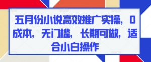五月份小说高效推广实操,0成本,无门槛,长期可做,适合小白操作-虚拟资源库