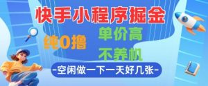 快手小程序掘金,纯0撸,单价高不养机 利用空闲时间做一做,一天好几张【揭秘】-虚拟资源库
