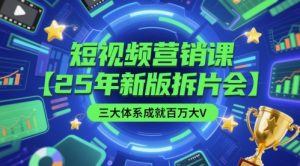 短视频营销课【25年新版拆片会】三大体系成就百万大V,包含正课、拆片会、手把手教学直播课等-虚拟资源库