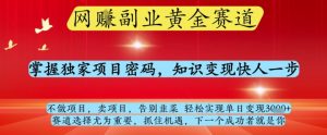 网创副业黄全赛道,掌握独家项目密码,知识变现快人一步,告别韭菜轻松实现单日变现1k+【揭秘】-虚拟资源库