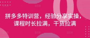 拼多多特训营,经验分享实操,课程时长拉满,干货拉满(更新25年4月)-虚拟资源库